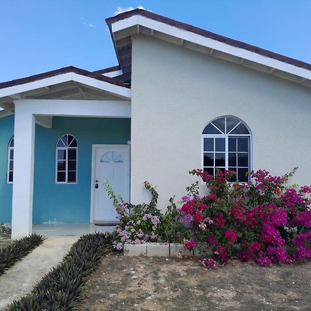 Loodik Vacation Home Brompton Manor Black River Εξωτερικό φωτογραφία