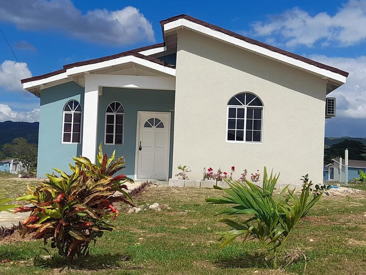 Loodik Vacation Home Brompton Manor Black River Εξωτερικό φωτογραφία